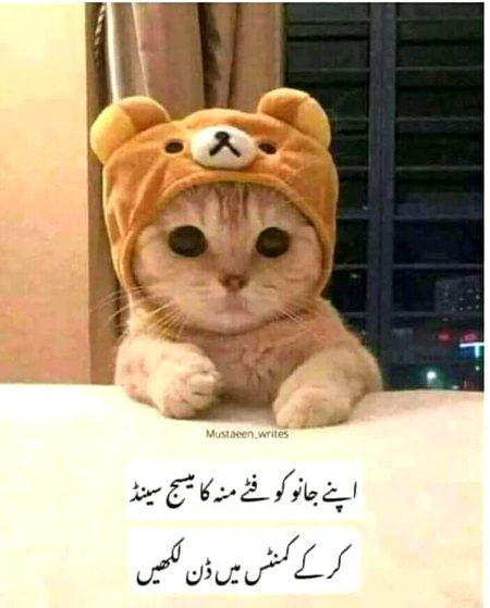 Chotiii,,
