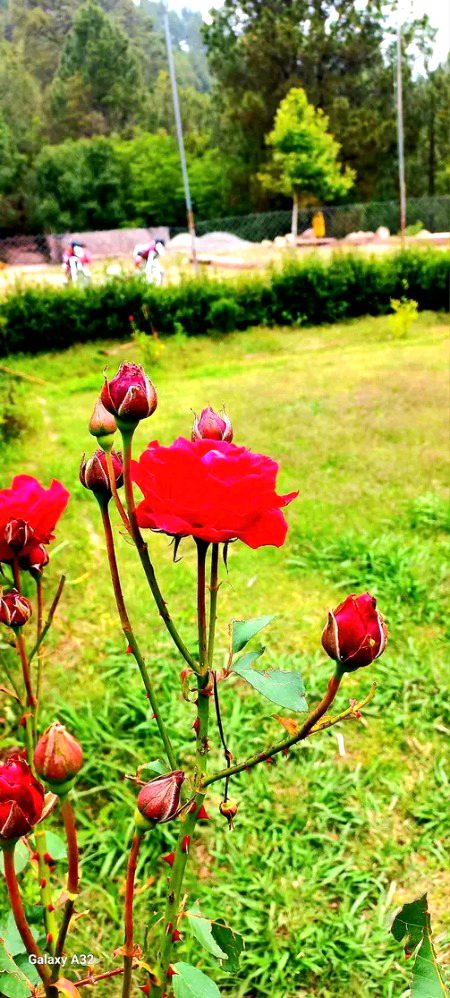 Beautiful Nature image