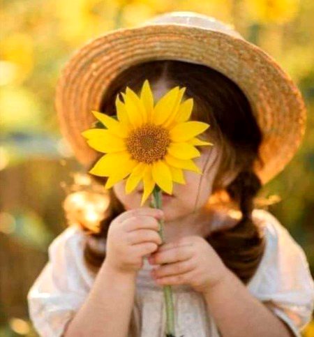 Beautiful Nature image