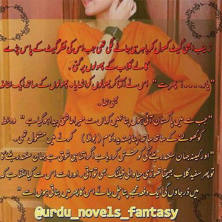 Romantic Novels image
