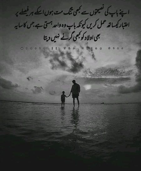 Jess k dam se thi zendi ki main ronaq 
Aj wo sath nhi to zendi ki har ٹھوکر se maza ata ha 
I miss my baba jan 
Jugnu۔۔