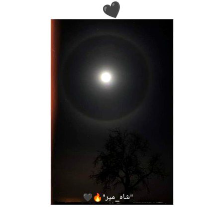 خُوشبو جیسی رات نے میرا...!!
اپنے جیسا حال کِیا تھا...🙂🖤
"شاہ_میر"🔥🖤