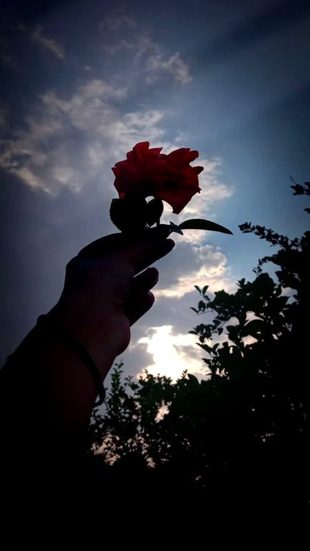 Beautiful Nature image