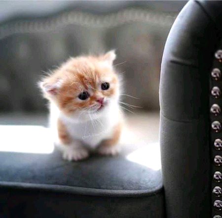 Beautiful Nature image