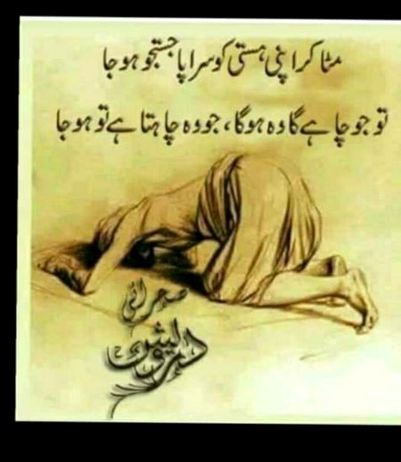 🌹🌷🌹🌷Bushi🌹🌷🌹🌷