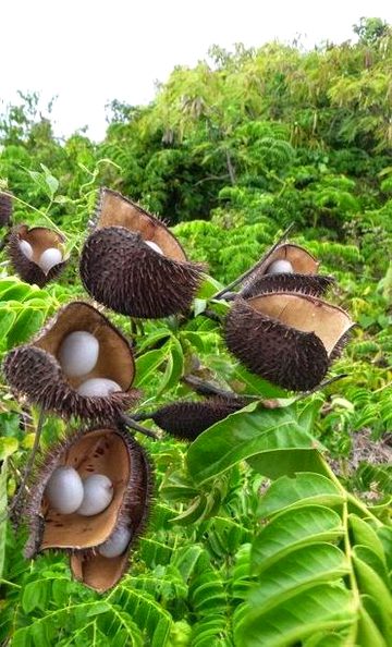 Beautiful Structures image