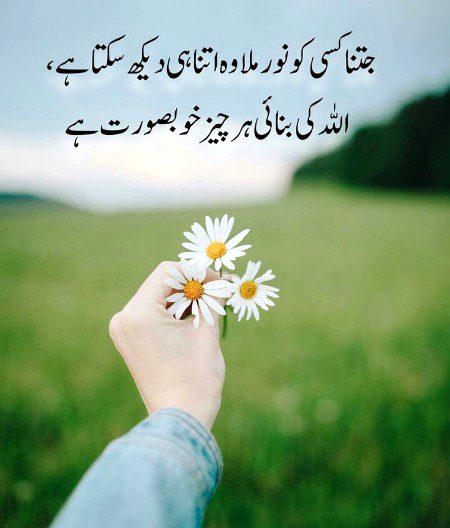 Islamic Quotes image