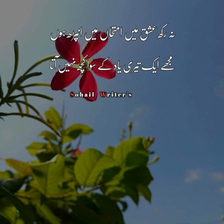 Romantic Poetry image