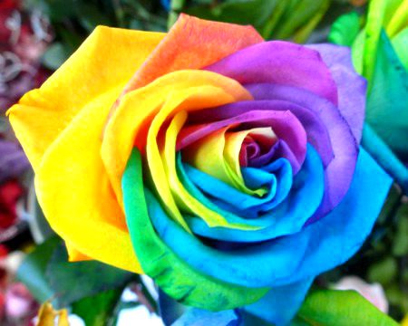 Beautiful Nature image