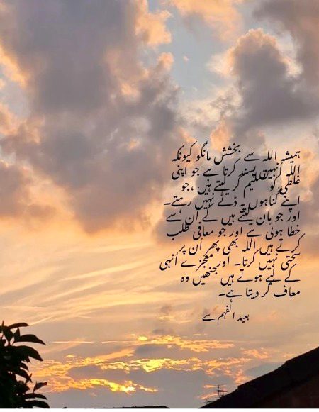 ❤💚💜❤💚💜❤💚💜