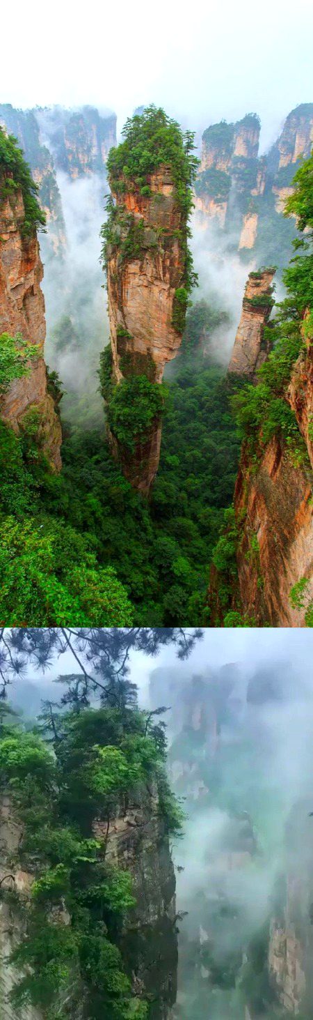 Beautiful Nature image