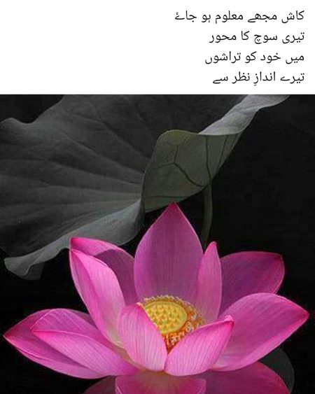 Romantic Poetry image