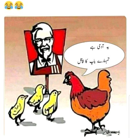 Memes & Satire