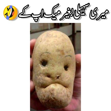 Memes & Satire image