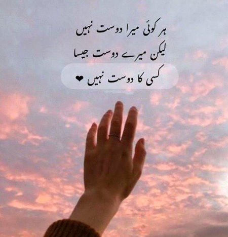 10000% blkl sch h S ji ap jsa koi b nh h ❤️❤️