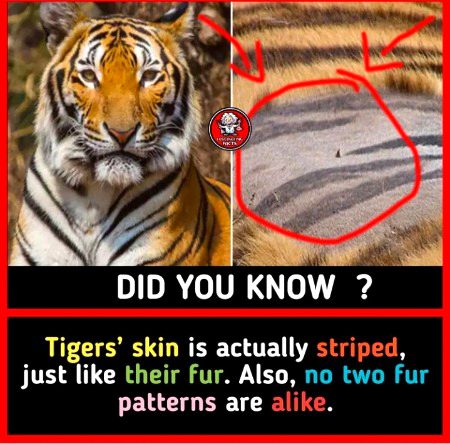 Interesting Posts image