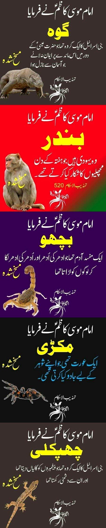 Islamic Quotes image