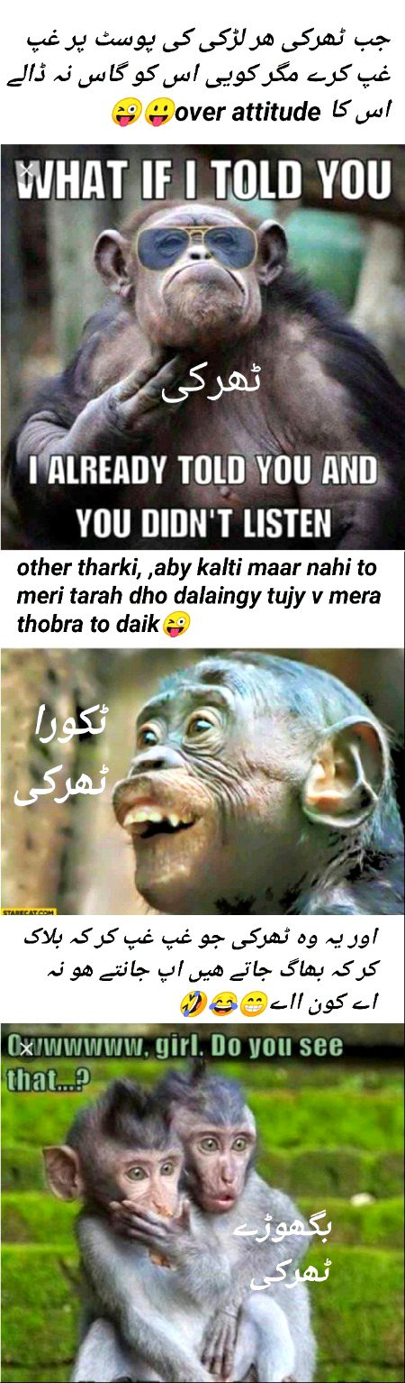 Memes & Satire image