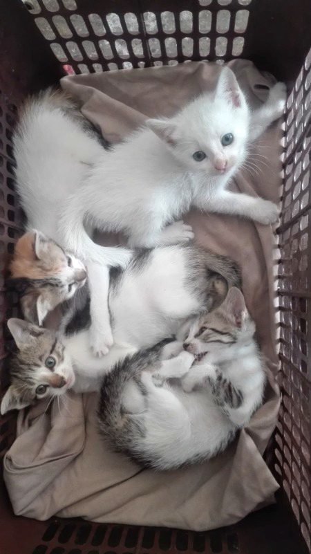 Beautiful Nature image