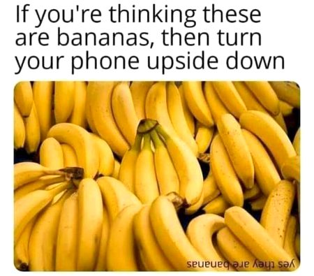 Memes & Satire image