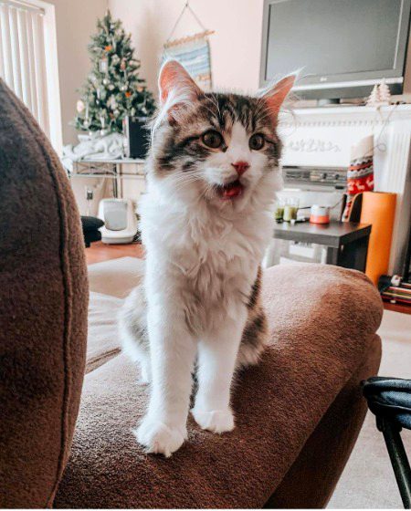 Beautiful Nature image