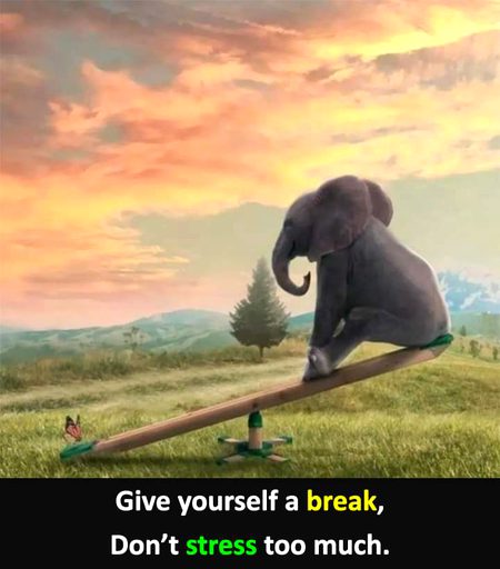 Life Advice image