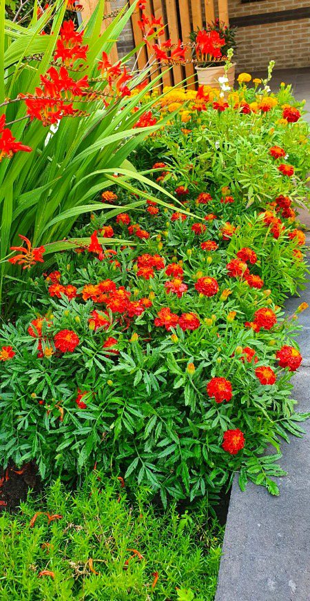 Beautiful Nature image