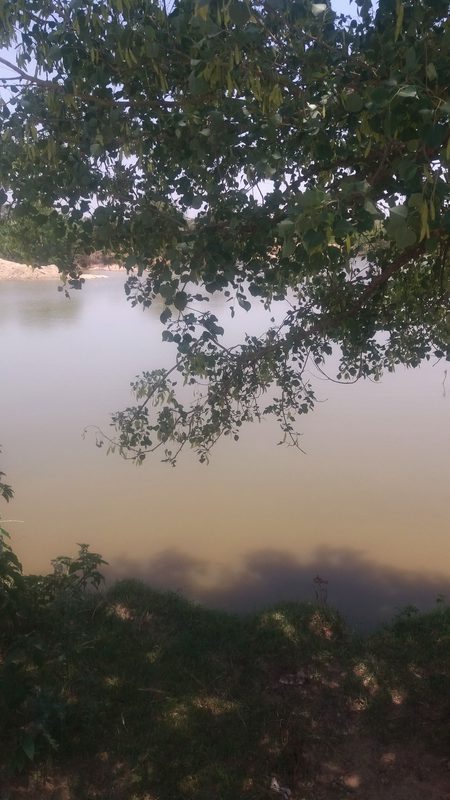 View of  Talaab  👌