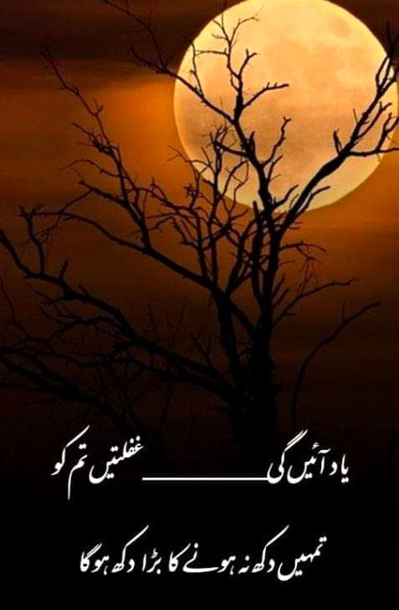 ❤💚💜❤💚💜