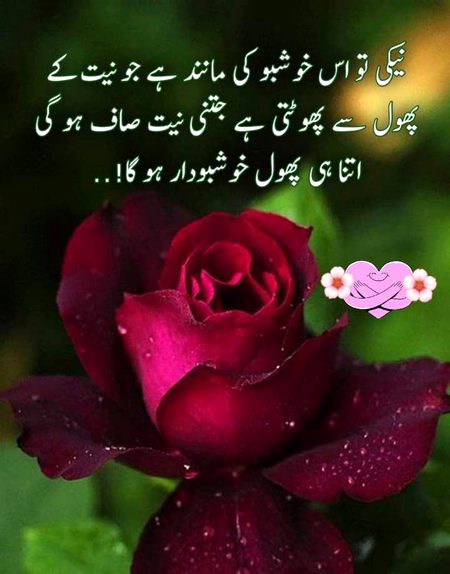 .r1 all gdnyt tc....