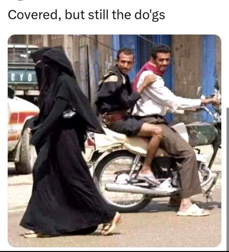 Life Advice image