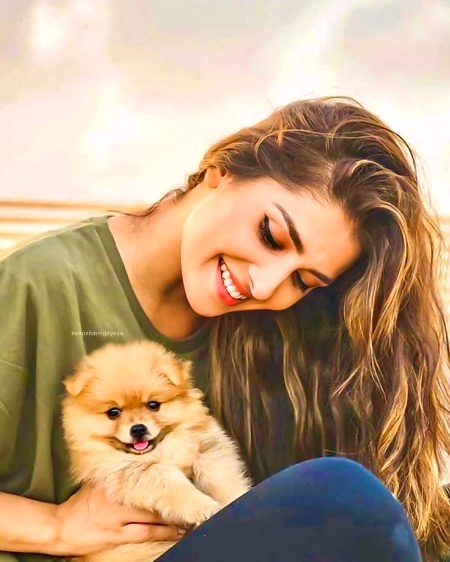 Pakistani Celebs image