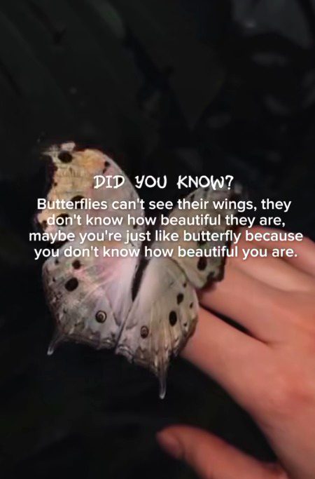 Interesting Posts image