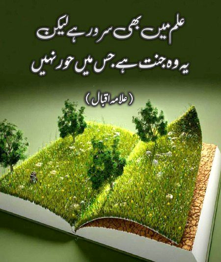 No Captain 🌺🌺🌺