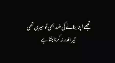 Dunya mjse bhter he ...💛
Ap dunya rkh le jiye ...🥀