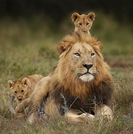 Beautiful Nature image