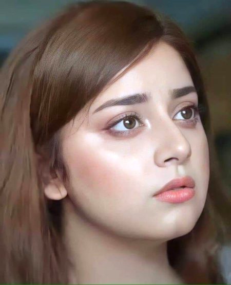 Pakistani Celebs image