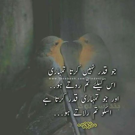 Qaddar Krna Seekho 😊