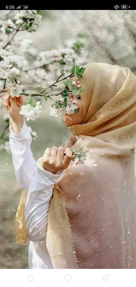 Beautiful Nature image