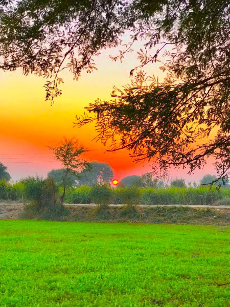 Beautiful Nature image