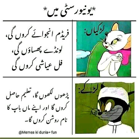 Memes & Satire image