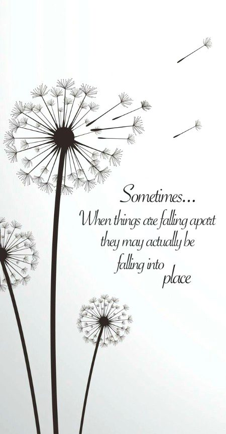 Life Advice image