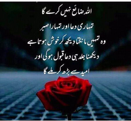 Veracious😍
