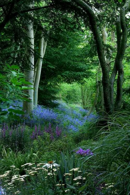 Beautiful Nature image