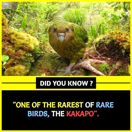 Interesting Posts image