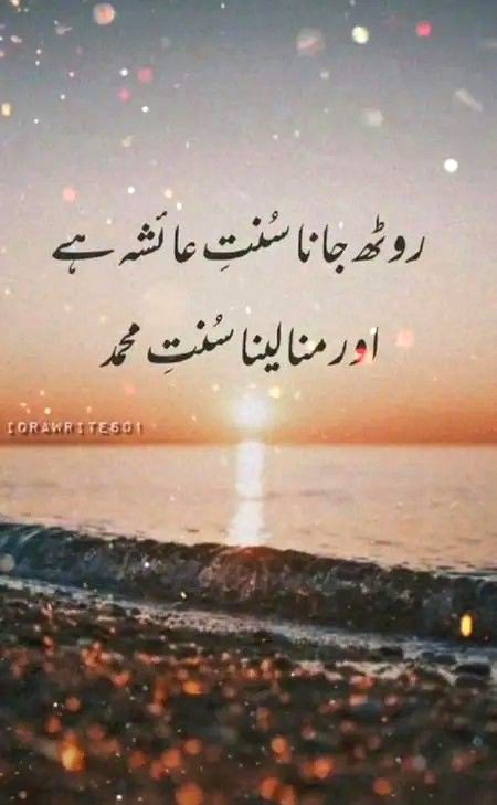 Islamic Quotes image