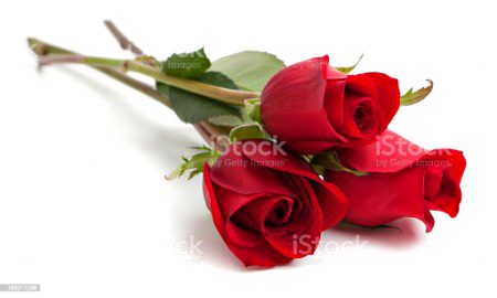 Beautiful Nature image