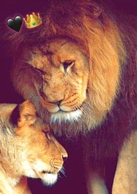 Beautiful Nature image