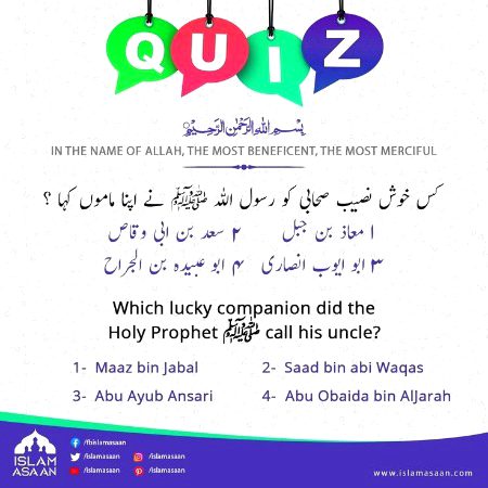 Knowledge Test image
