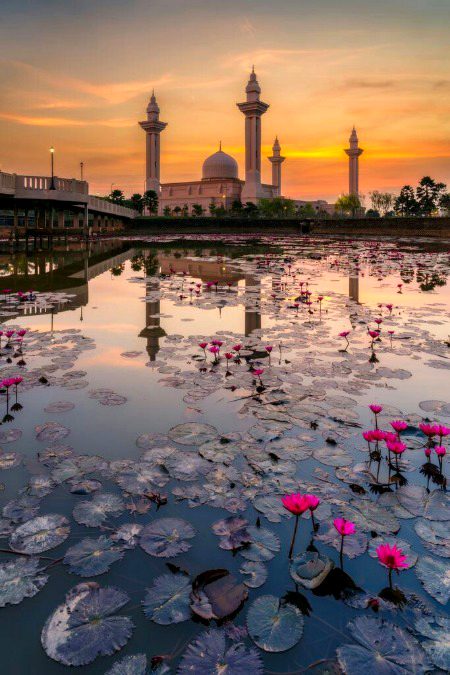 Beautiful Structures image